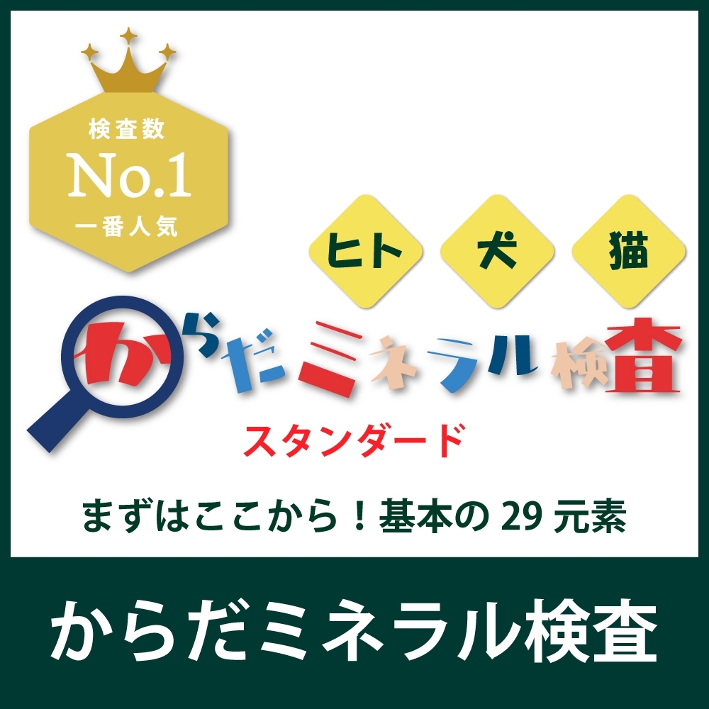 からだミネラル検査